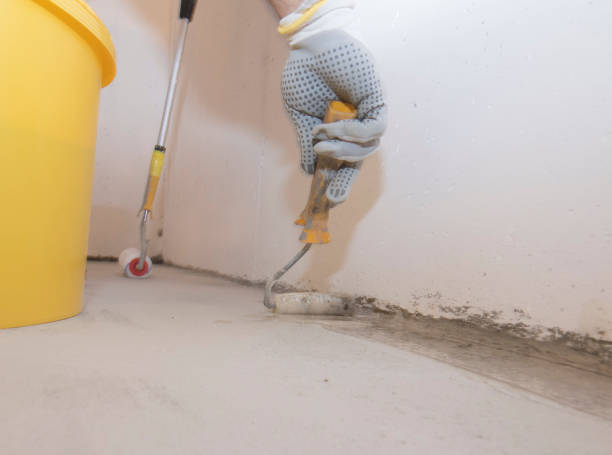 Best Commercial Pest Control  in Edina, MO